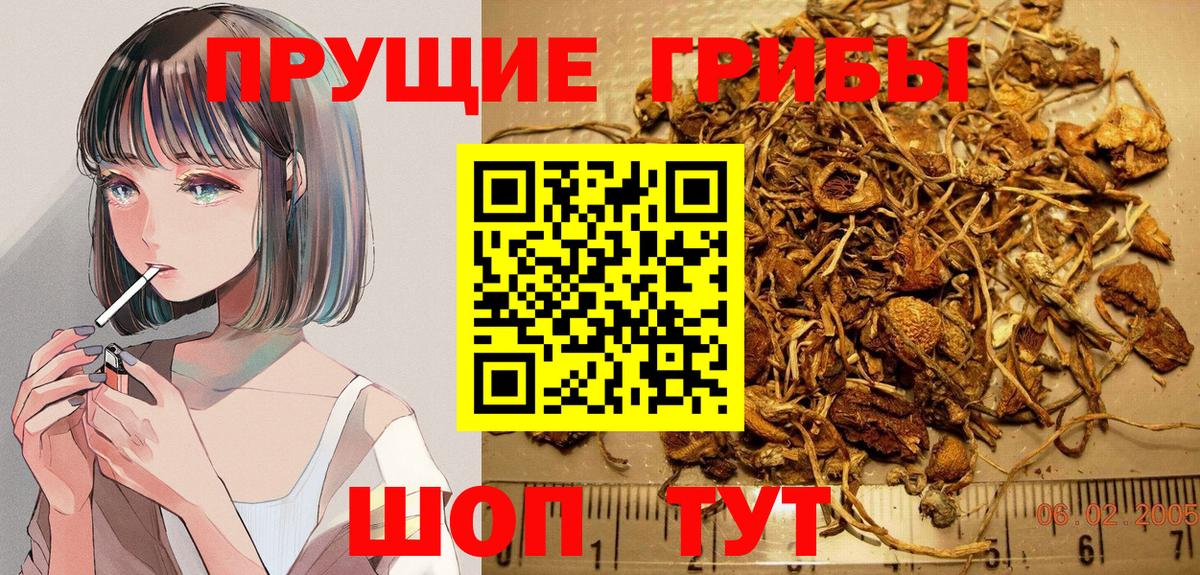 Дзержинский  Галлюциногенные грибы Psilocybine cubensis  Вход с VPN  Псилоцибиновые грибы Psilocybe 